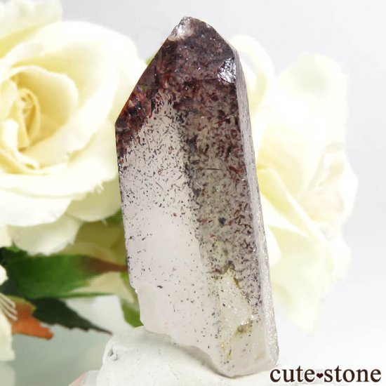 ʥߥӥ ԥɥȥ󥯥ġʥեġˤη뾽ʸС 7.1gμ̿0 cute stone