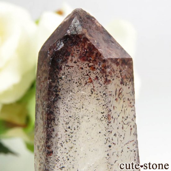 ʥߥӥ ԥɥȥ󥯥ġʥեġˤη뾽ʸС 7.1gμ̿2 cute stone