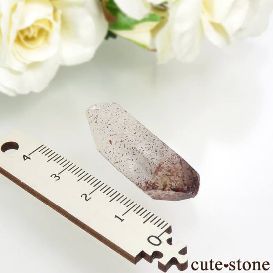 ʥߥӥ ԥɥȥ󥯥ġʥեġˤη뾽ʸС 7.1gμ̿3 cute stone