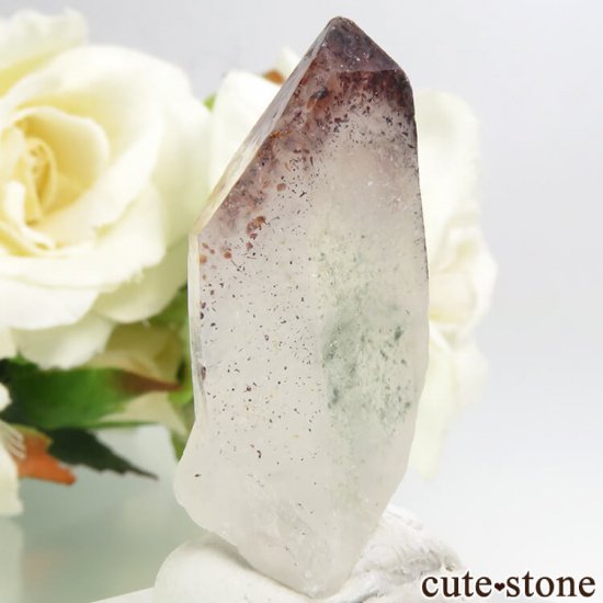 ʥߥӥ ԥɥȥ󥯥ġʥեġˤη뾽ʸС 8.2gμ̿1 cute stone