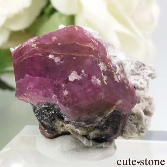 饺٥꡼ͥåȡʳСˤθСʹʪɸܡ8.1gμ̿0 cute stone