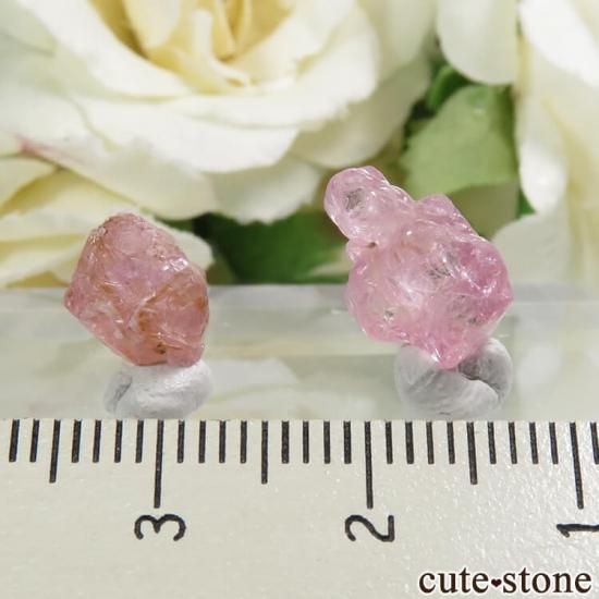 ߥޡ ⥴ ԥͥη뾽 2å No.8