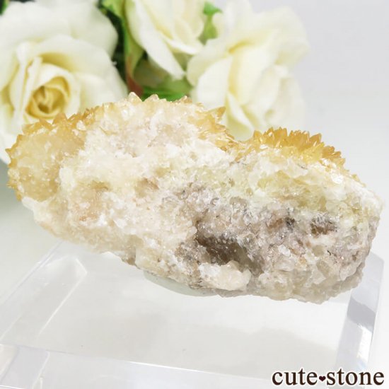  ² ӻԻ ո륵ȤΥ饹ʸС34.6gμ̿0 cute stone