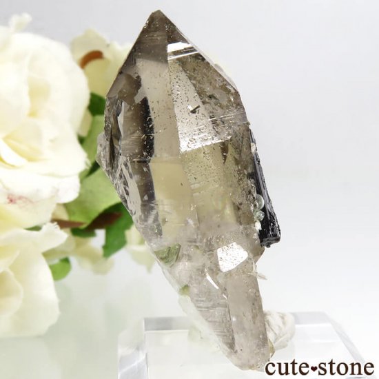 ѥ ɥ ֥åȥޥ⡼Ĥθ 18.8gμ̿0 cute stone