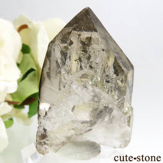 ѥ ɥ ֥åȥޥ⡼Ĥθ 18.8gμ̿1 cute stone
