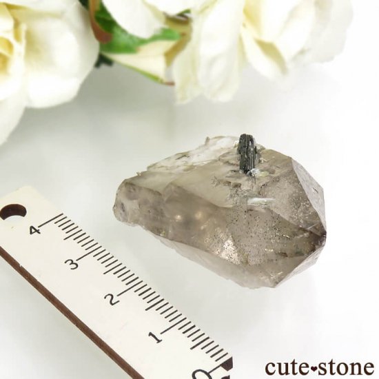 ѥ ɥ ֥åȥޥ⡼Ĥθ 18.8gμ̿4 cute stone