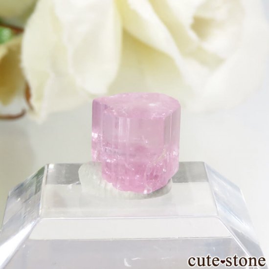 ե˥ ԥ󥯥ȥޥη뾽ʸС3.1ctμ̿0 cute stone