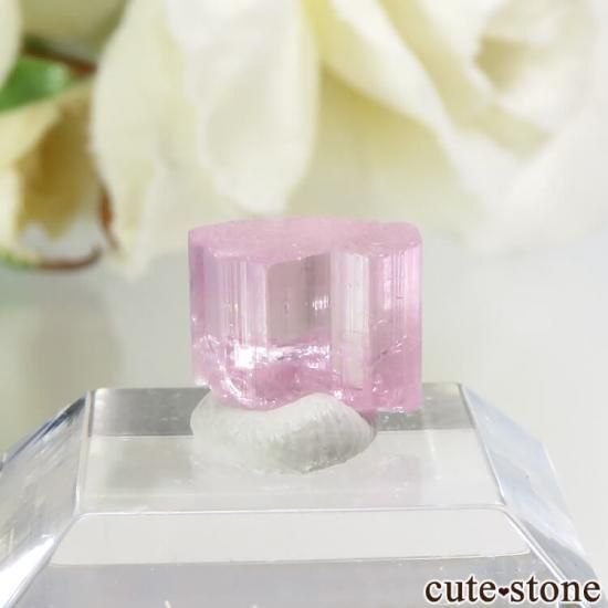 ե˥ ԥ󥯥ȥޥη뾽ʸС3.1ctμ̿1 cute stone