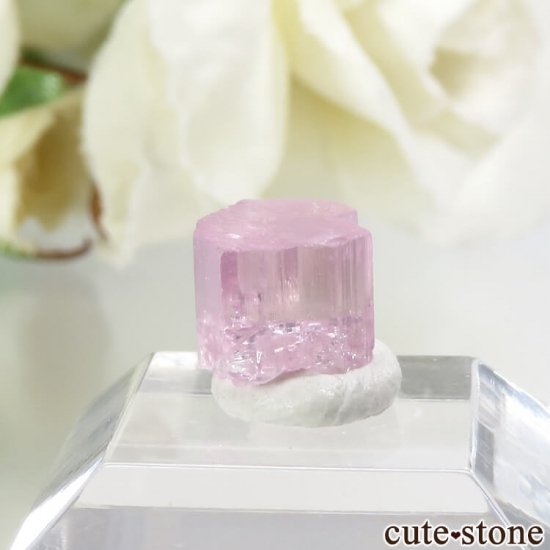 ե˥ ԥ󥯥ȥޥη뾽ʸС3.1ctμ̿2 cute stone