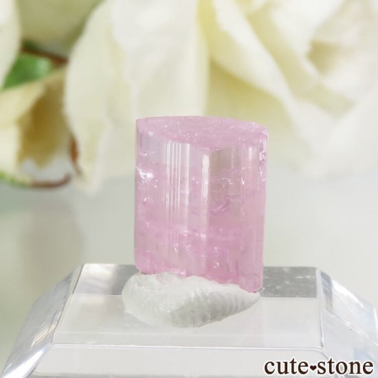 ե˥ ԥ󥯥ȥޥη뾽ʸС4.2ctμ̿1 cute stone