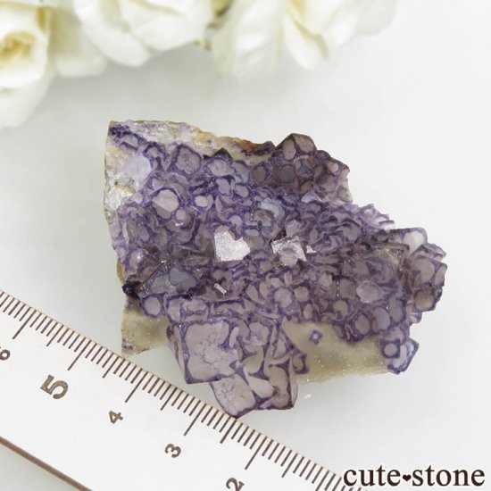  Qinglong Mine ѡץߥۥ磻ȥե饤 36gμ̿4 cute stone