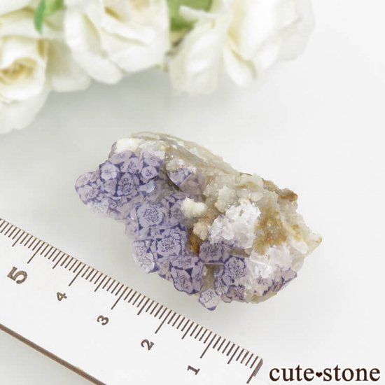  Qinglong Mine ѡץߥۥ磻ȥե饤 28.8gμ̿3 cute stone