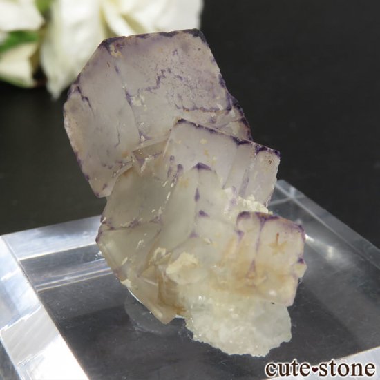  Qinglong Mine ѡץߥۥ磻ȥե饤 11.9gμ̿0 cute stone