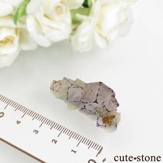  Qinglong Mine ѡץߥۥ磻ȥե饤 11.9gμ̿3 cute stone