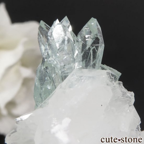  ץ͡ ꡼󥢥ݥե饤&ҥ塼Ȥθ 6.3gμ̿3 cute stone