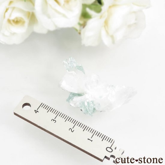  ץ͡ ꡼󥢥ݥե饤&ҥ塼Ȥθ 6.3gμ̿4 cute stone