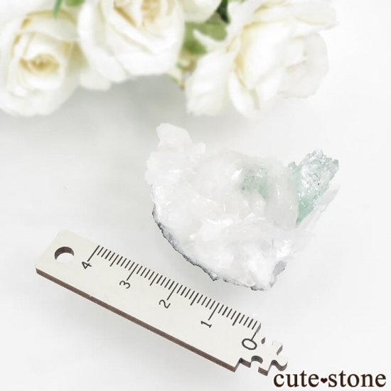  ץ͡ ꡼󥢥ݥե饤&ҥ塼Ȥθ 22.8gμ̿4 cute stone