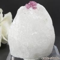 ٥ȥʥ໺ ԥ󥯥ԥͥդ뾽 () 28.1gβ