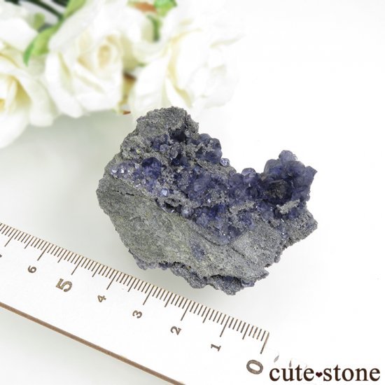  ʡʻѡץ֥롼ե饤Ȥη뾽ʸС 32.6gμ̿3 cute stone