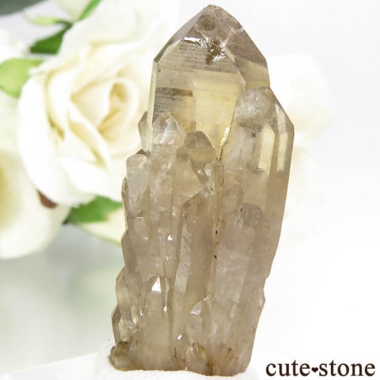 󥴻 ŷȥη뾽ʸС8.8gμ̿0 cute stone