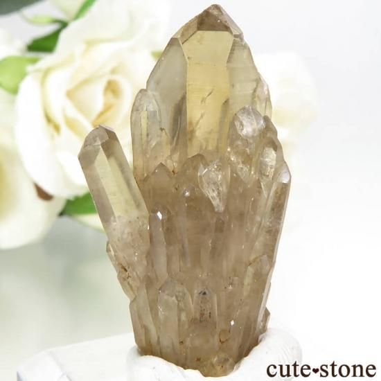 󥴻 ŷȥη뾽ʸС8.8gμ̿1 cute stone
