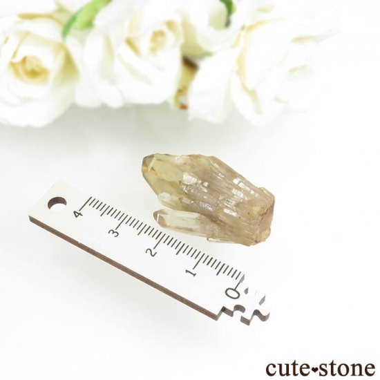 󥴻 ŷȥη뾽ʸС8.8gμ̿2 cute stone
