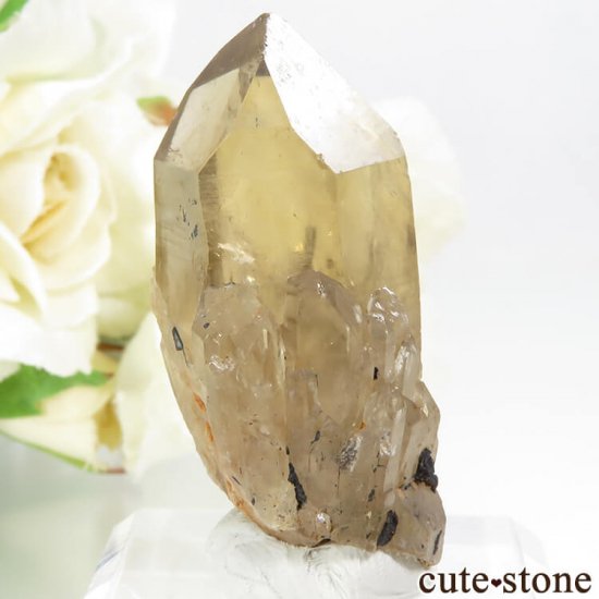 󥴻 ŷȥη뾽ʸС11gμ̿0 cute stone
