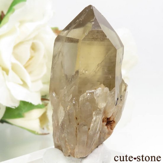 󥴻 ŷȥη뾽ʸС11gμ̿1 cute stone