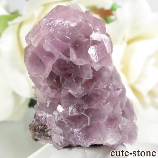 å Хȥ륵ȤΥ饹ʸС14.6gμ̿0 cute stone