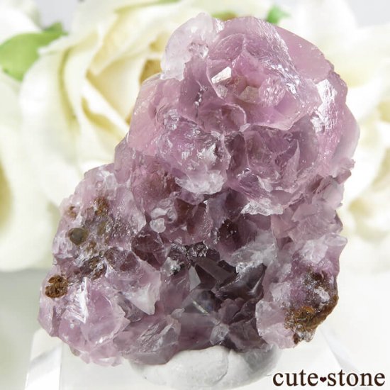 å Хȥ륵ȤΥ饹ʸС14.6gμ̿1 cute stone