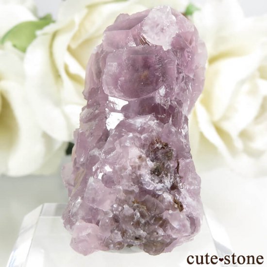 å Хȥ륵ȤΥ饹ʸС14.6gμ̿2 cute stone