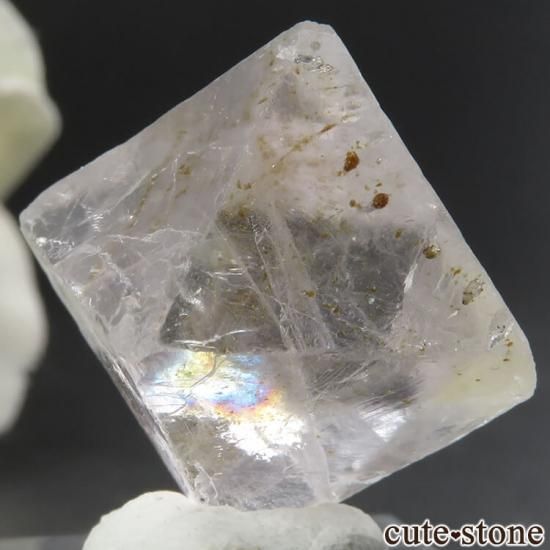 Υ Cave-in-Rock ȬΡʤؤ뾽˥ե饤ȡʷС7g μ̿1 cute stone