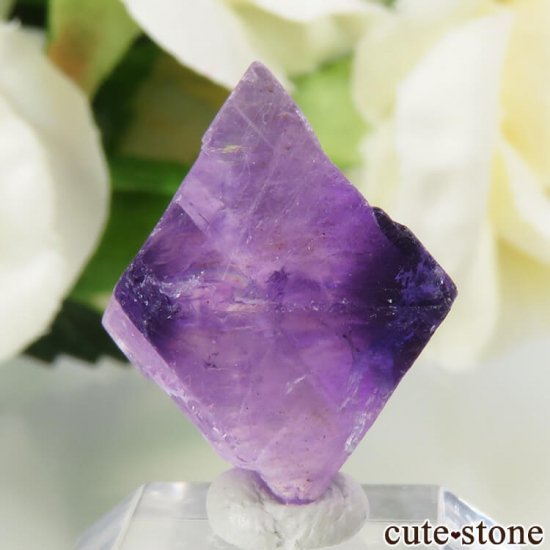 Υ Cave-in-Rock ȬΡʤؤ뾽˥ե饤ȡʷС4.1g μ̿0 cute stone