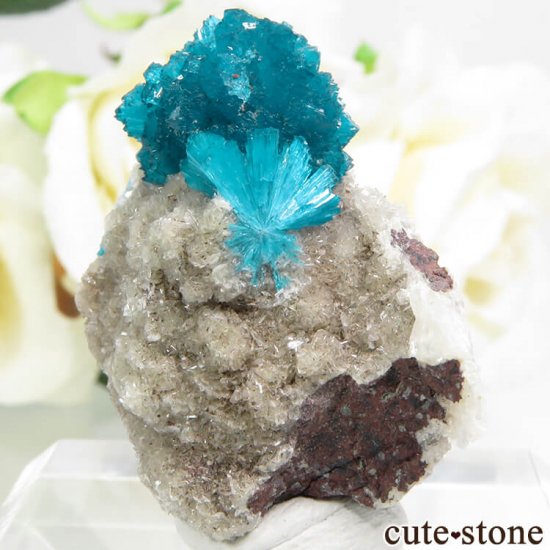  ץ͡ Х󥵥Ȥդ뾽ʸС 12.2gμ̿0 cute stone