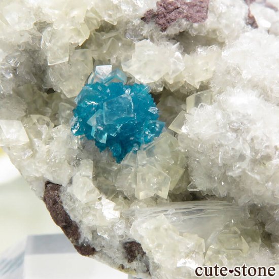 ץ͡ Х󥵥ȡ륵Ȥդ뾽ʸС 27.6gμ̿1 cute stone