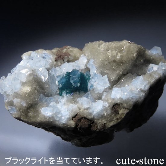  ץ͡ Х󥵥ȡ륵Ȥդ뾽ʸС 27.6gμ̿3 cute stone