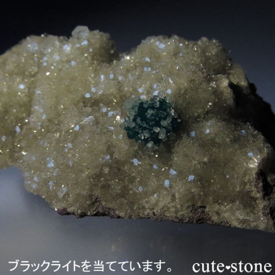  ץ͡ Х󥵥ȡ륵Ȥդ뾽ʸС 32.8gμ̿5 cute stone
