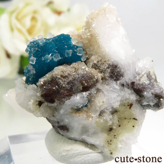  ץ͡ Х󥵥ȡ륵Ȥդ뾽ʸС 6.9gμ̿1 cute stone