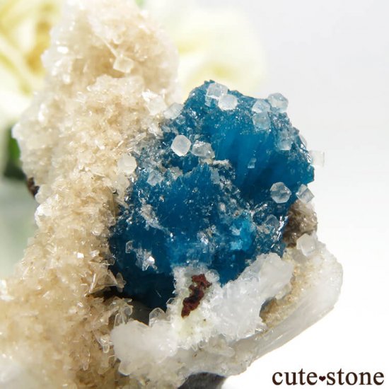  ץ͡ Х󥵥ȡ륵Ȥդ뾽ʸС 6.9gμ̿3 cute stone