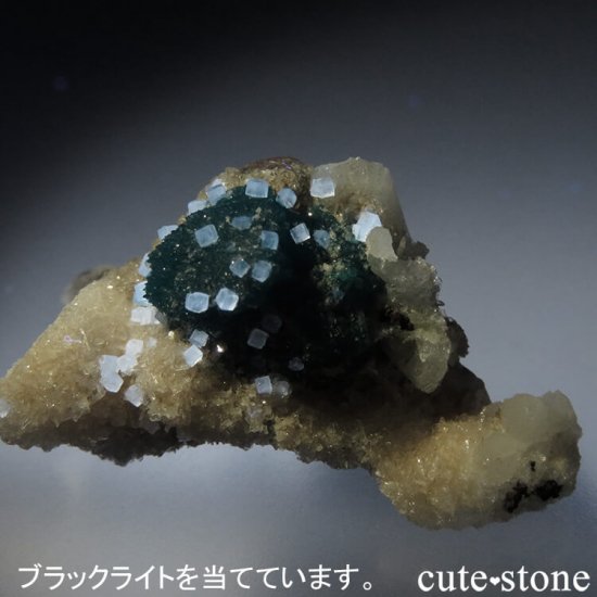  ץ͡ Х󥵥ȡ륵Ȥդ뾽ʸС 6.9gμ̿4 cute stone