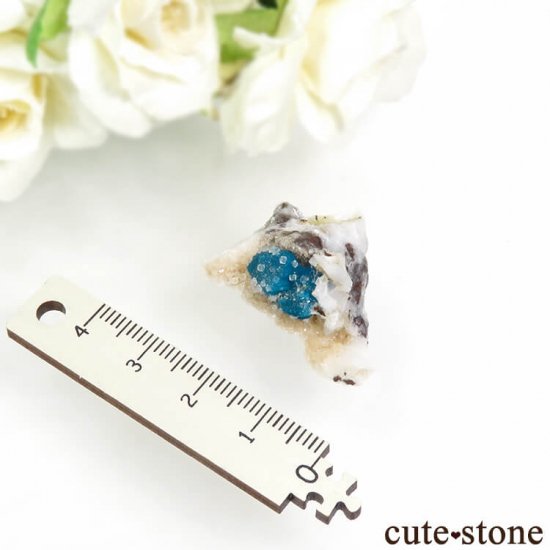 ץ͡ Х󥵥ȡ륵Ȥդ뾽ʸС 6.9gμ̿5 cute stone