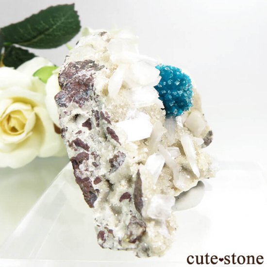  ץ͡ Х󥵥ȡ륵ȡƥХȤդ뾽ʸС 51gμ̿0 cute stone