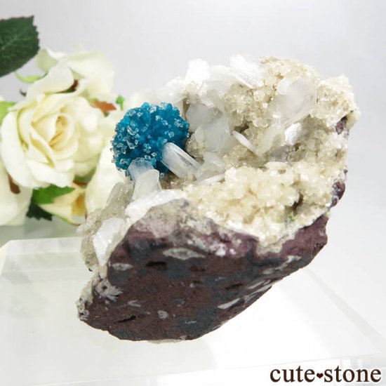  ץ͡ Х󥵥ȡ륵ȡƥХȤդ뾽ʸС 51gμ̿2 cute stone