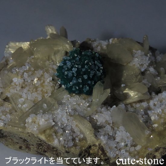  ץ͡ Х󥵥ȡ륵ȡƥХȤդ뾽ʸС 51gμ̿5 cute stone