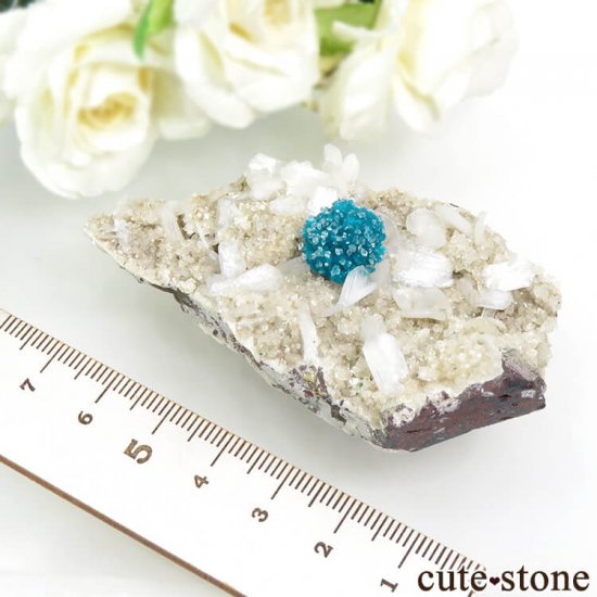  ץ͡ Х󥵥ȡ륵ȡƥХȤդ뾽ʸС 51gμ̿6 cute stone