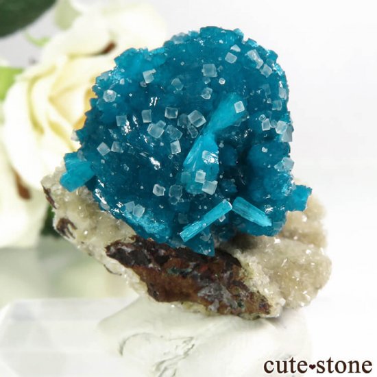  ץ͡ Х󥵥ȡ륵Ȥդ뾽ʸС 15.5gμ̿0 cute stone