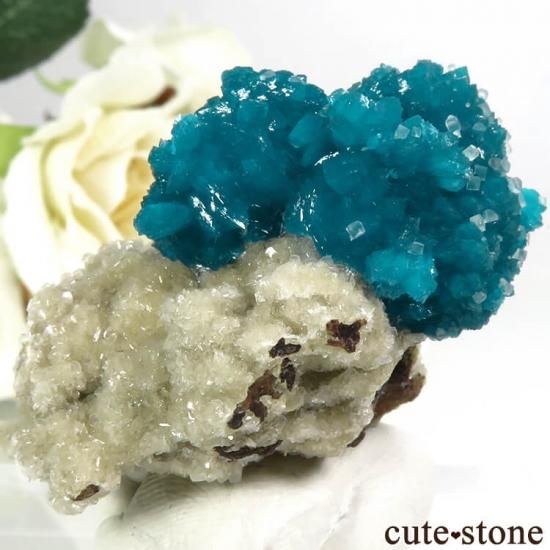  ץ͡ Х󥵥ȡ륵Ȥդ뾽ʸС 15.5gμ̿1 cute stone