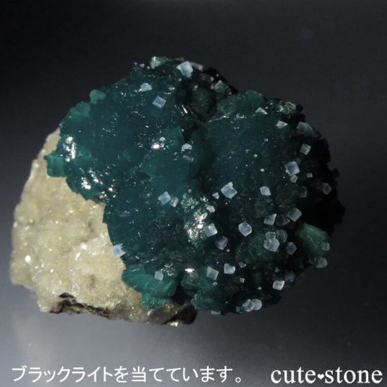  ץ͡ Х󥵥ȡ륵Ȥդ뾽ʸС 15.5gμ̿6 cute stone