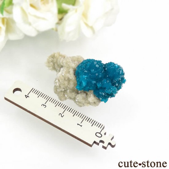  ץ͡ Х󥵥ȡ륵Ȥդ뾽ʸС 15.5gμ̿7 cute stone