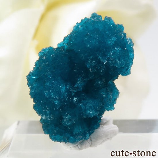  ץ͡ Х󥵥Ȥη뾽ʸС 1.9gμ̿2 cute stone
